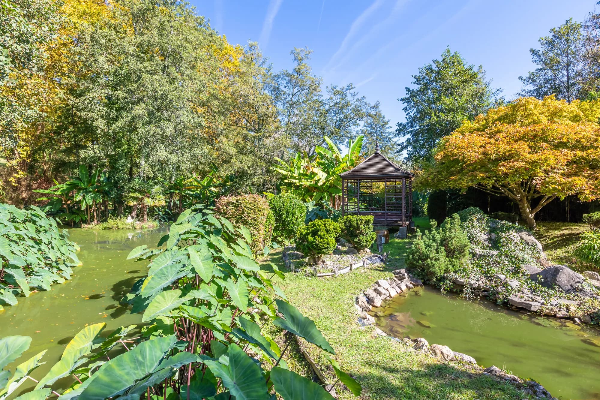 Le Parc & l'Adour, photo 3, Domaine de Larbéou